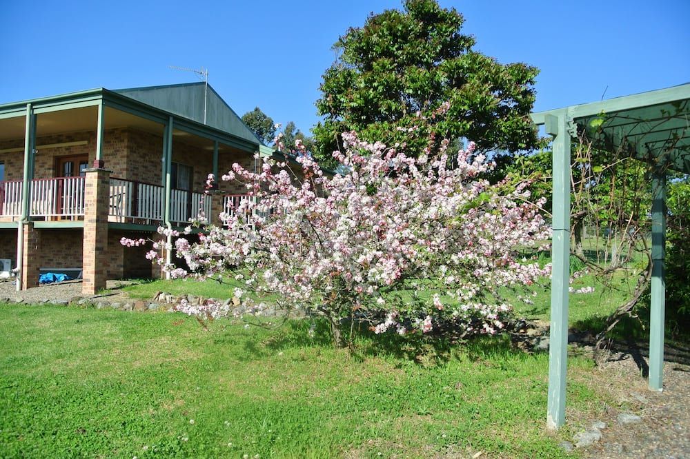 Outdoor view