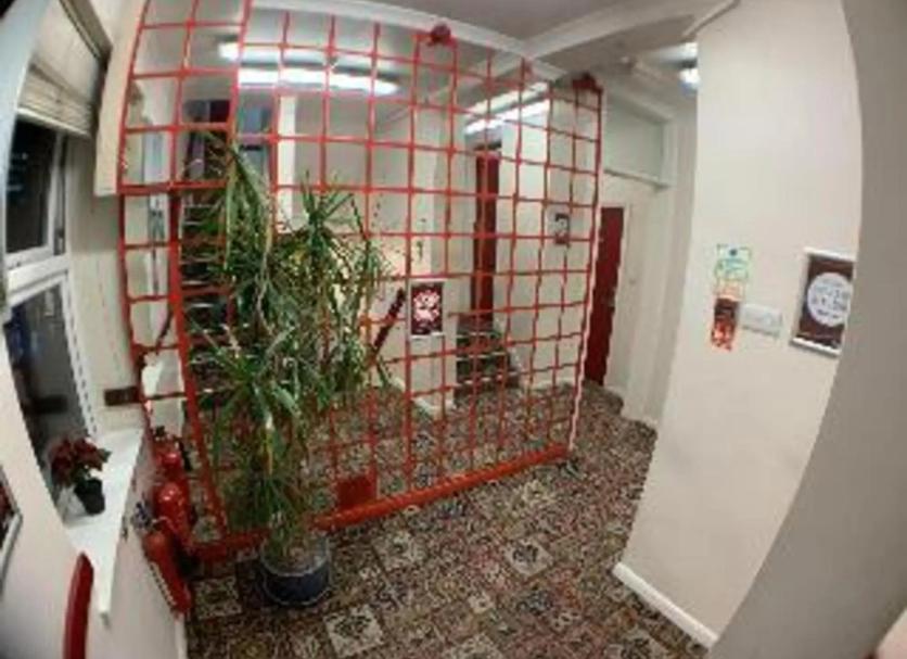 Other Photo
