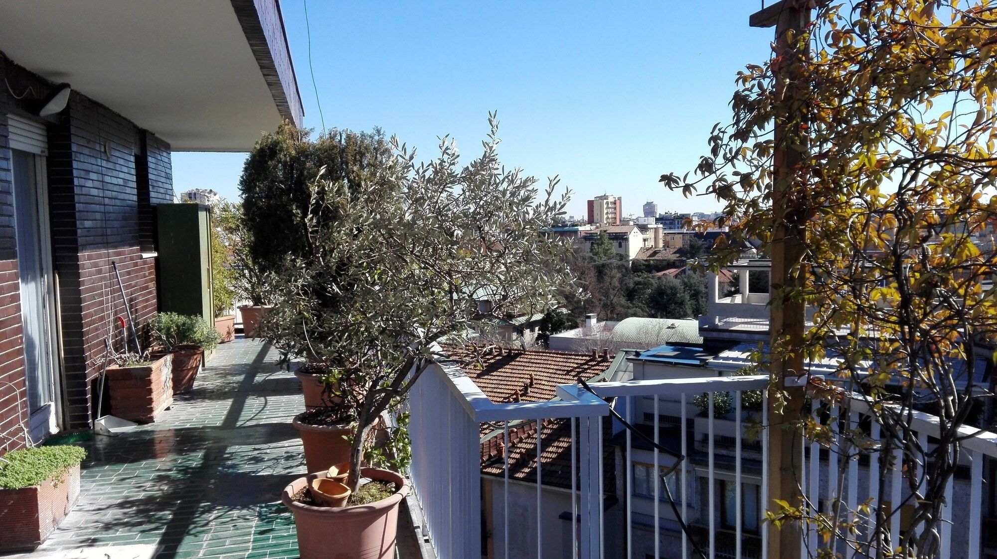 Outdoor view
