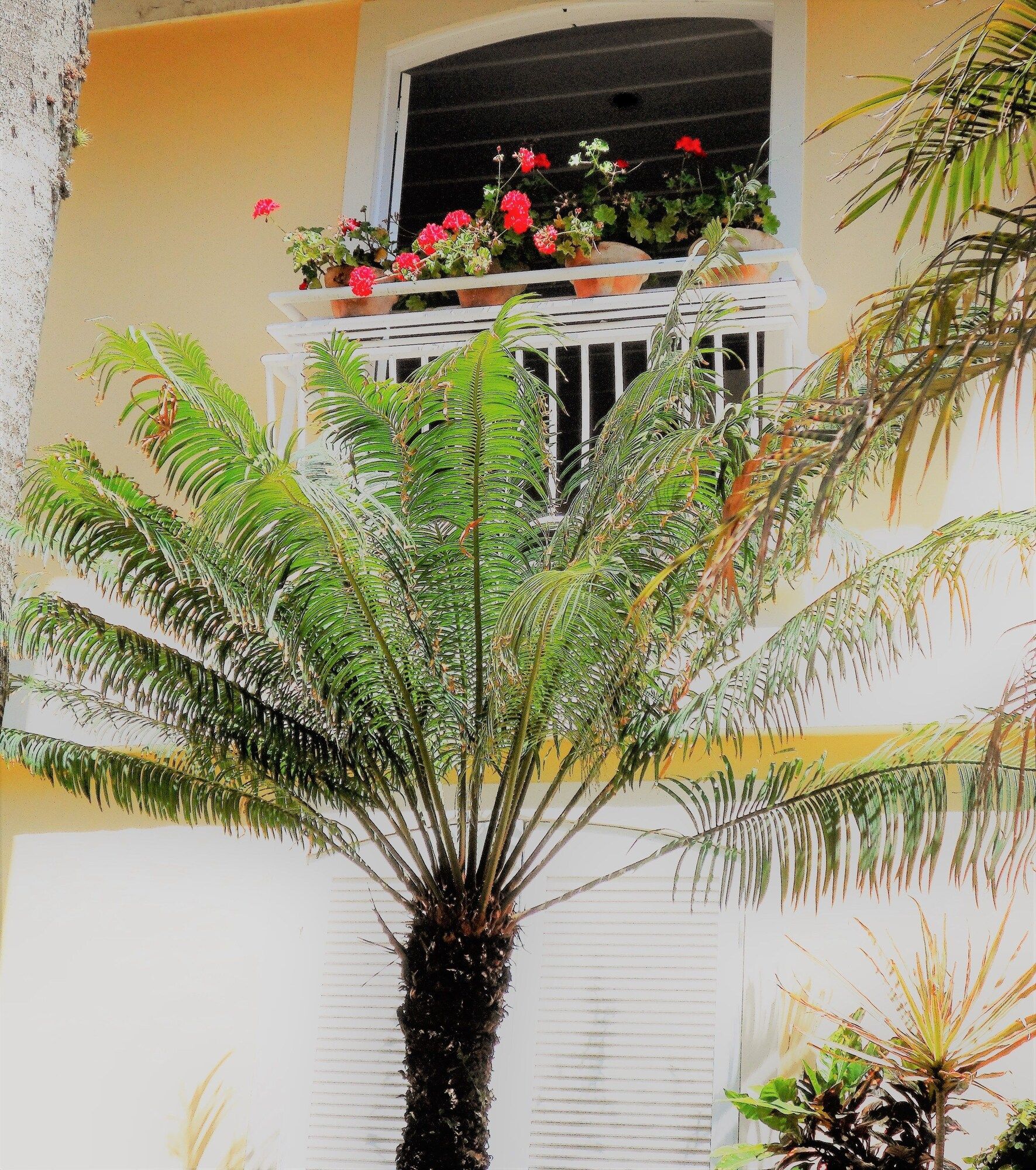Outdoor view