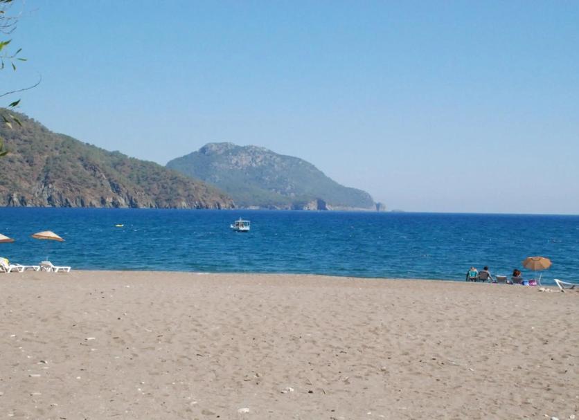 Beach Photo