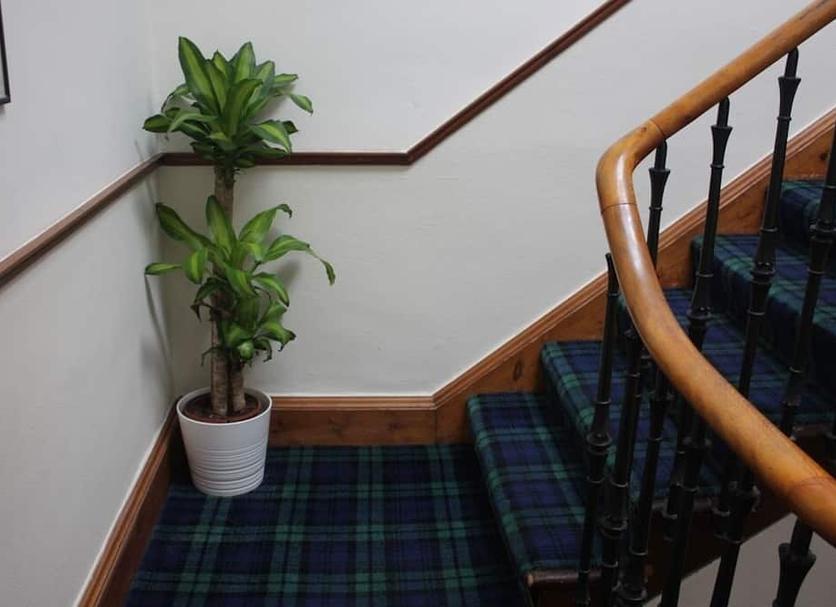 Stairs Photo
