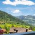 Outdoor view