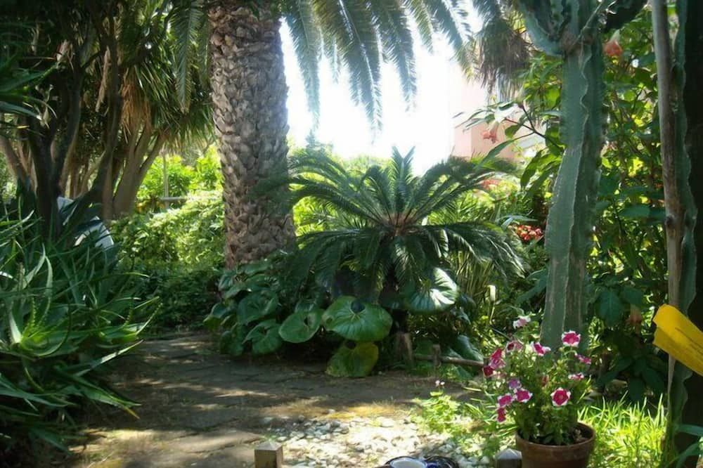 Outdoor view