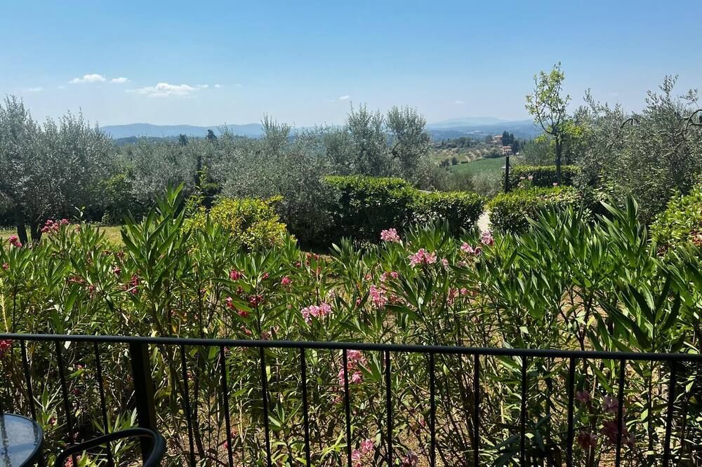 Outdoor view