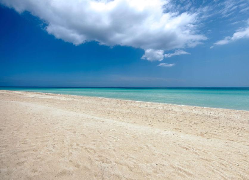 Beach Photo