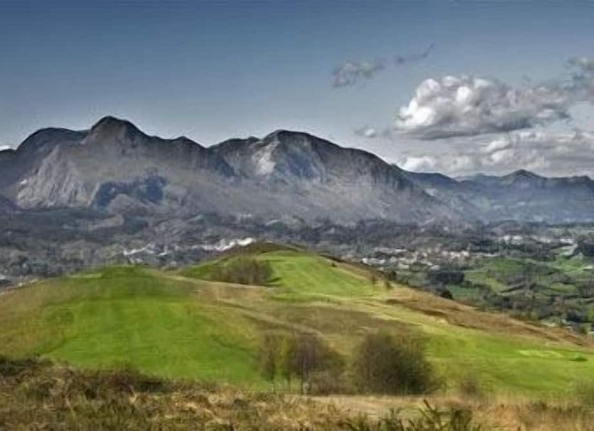 Other Photo