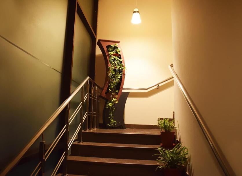 Stairs Photo