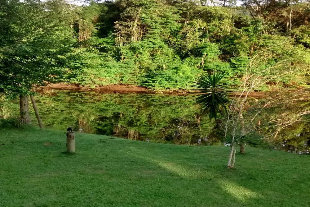 Outdoor view