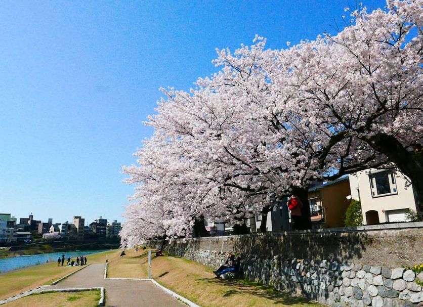 Outdoor view Photo