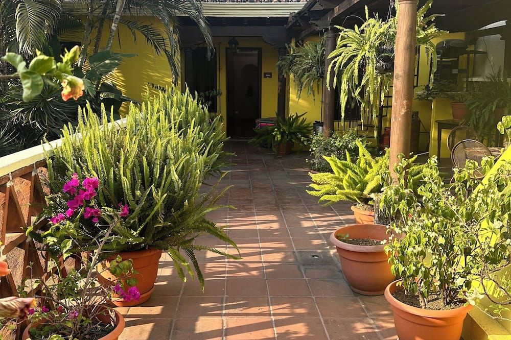 Outdoor view
