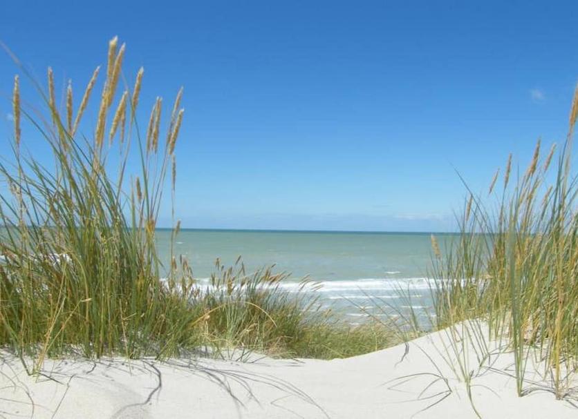 Beach Photo