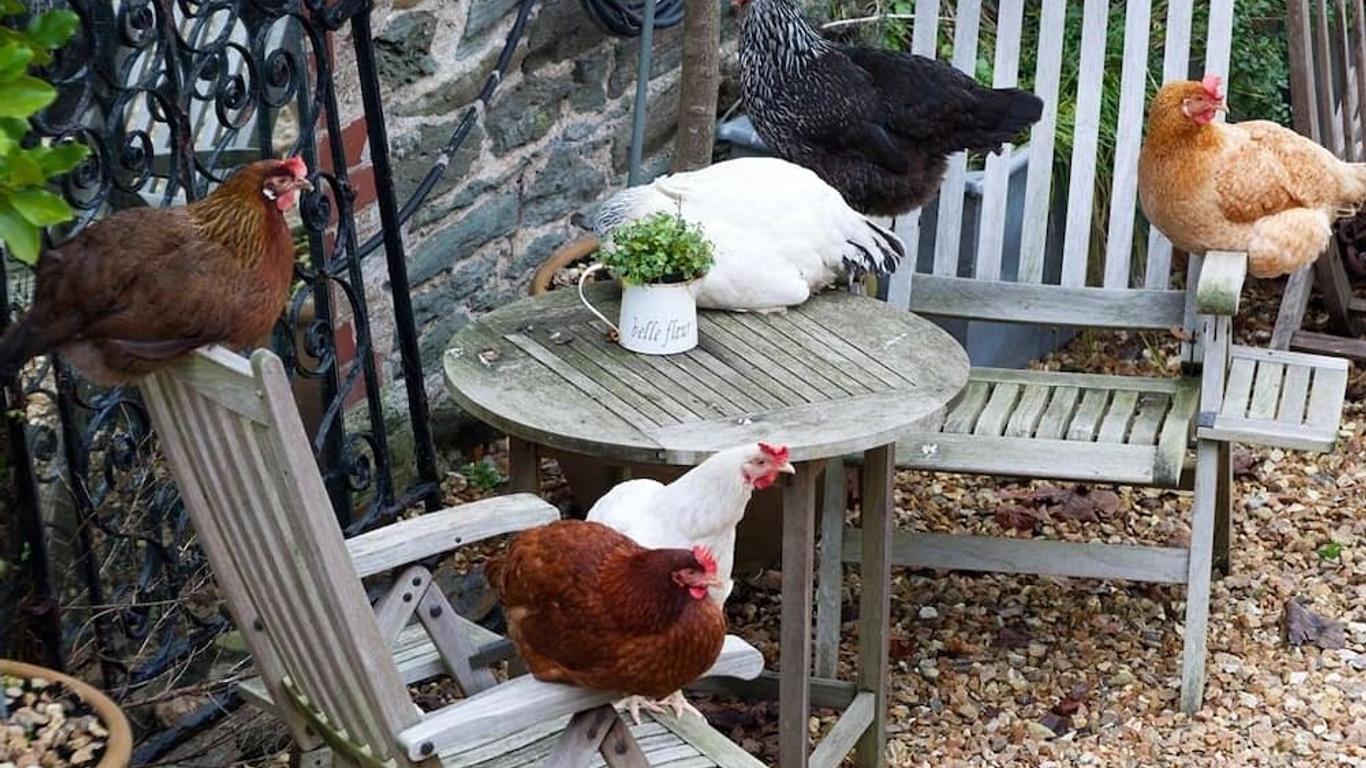 Glebe Farm B&B