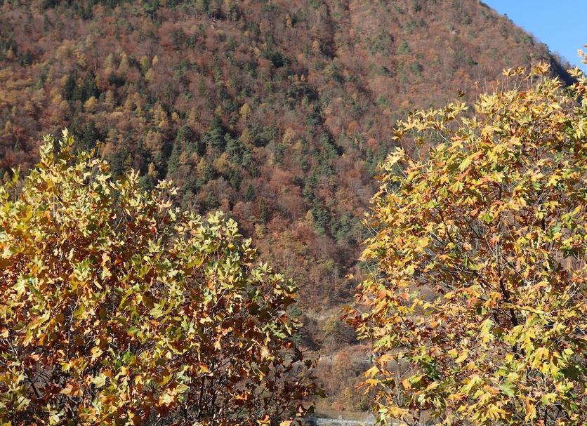 Outdoor view Photo