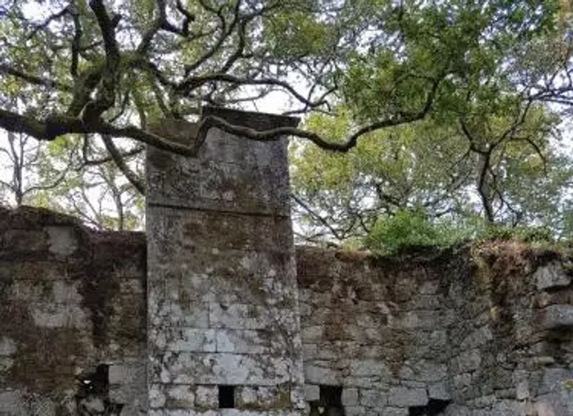 Other Photo