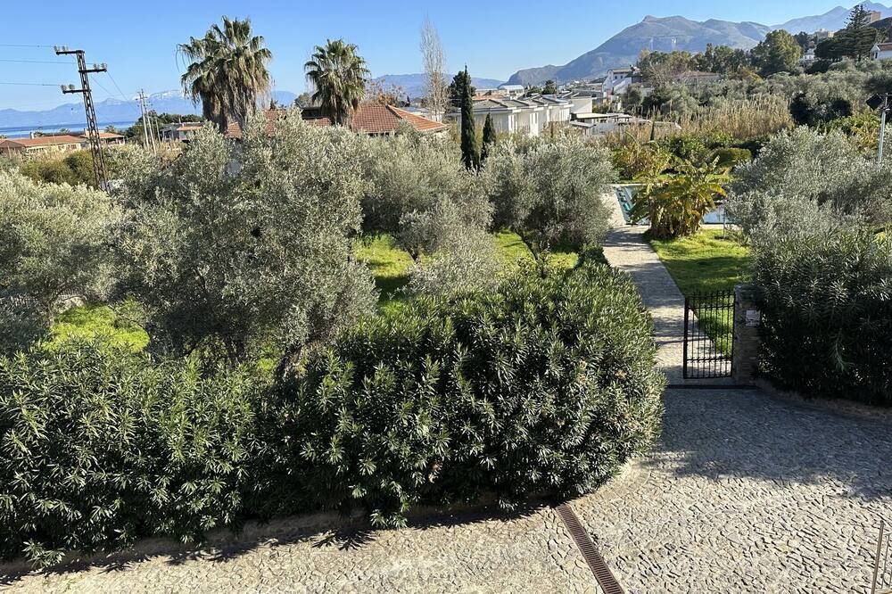 Outdoor view