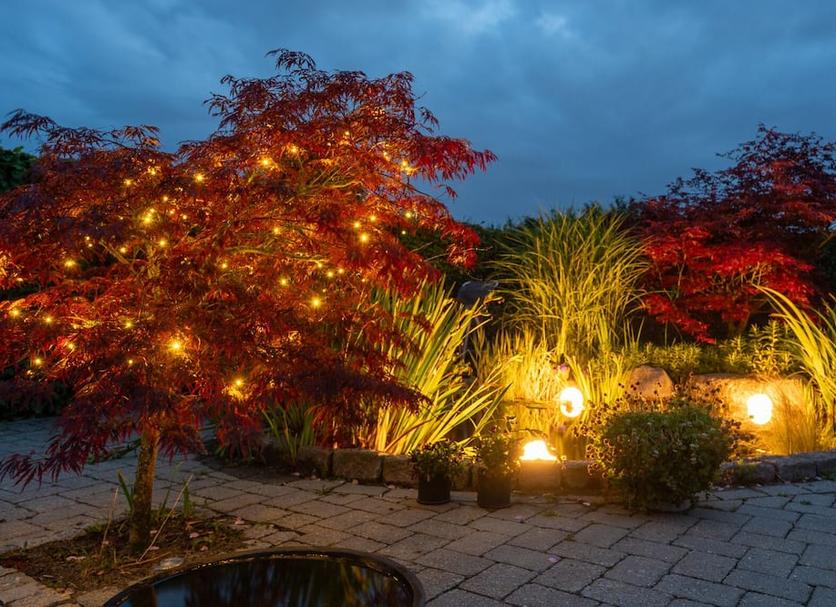 Outdoor view Photo