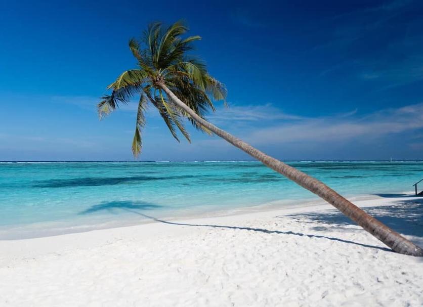 Beach Photo