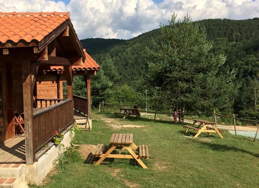 Other Photo