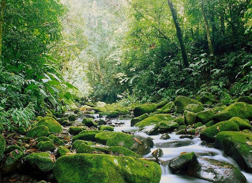 Outdoor view Photo