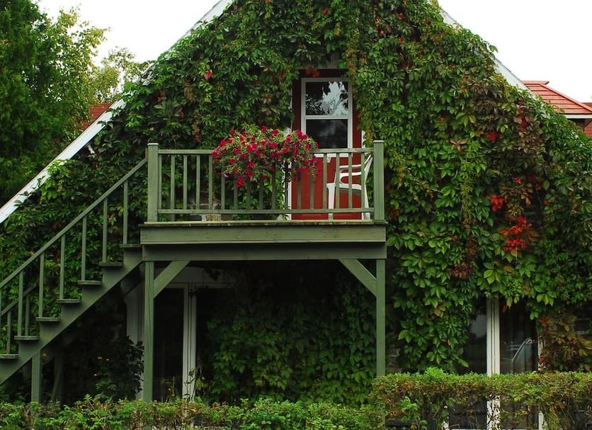Outdoor view Photo