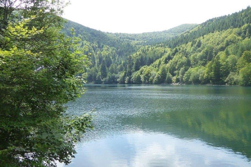 Outdoor view