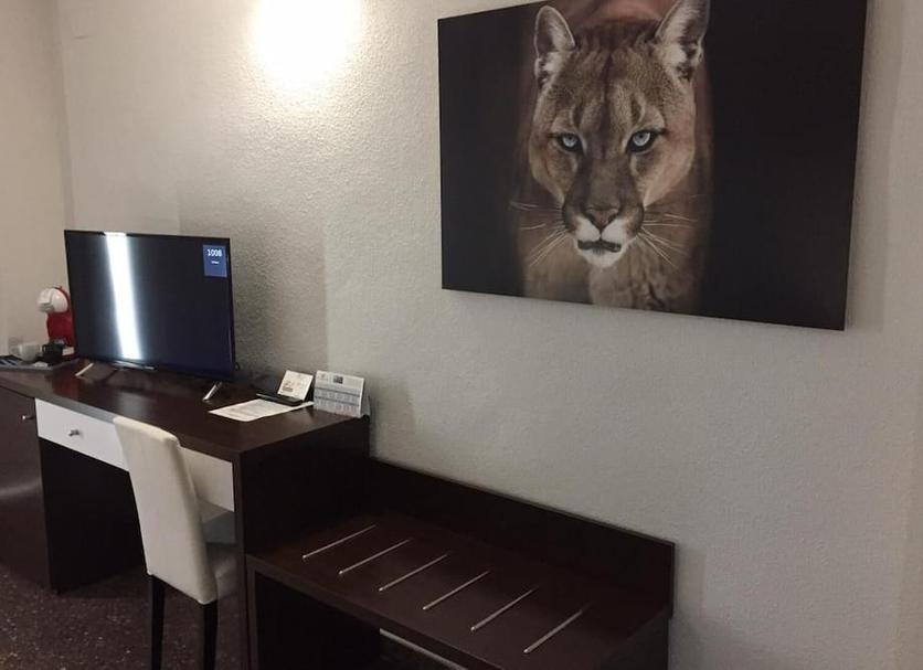 Room amenity Photo