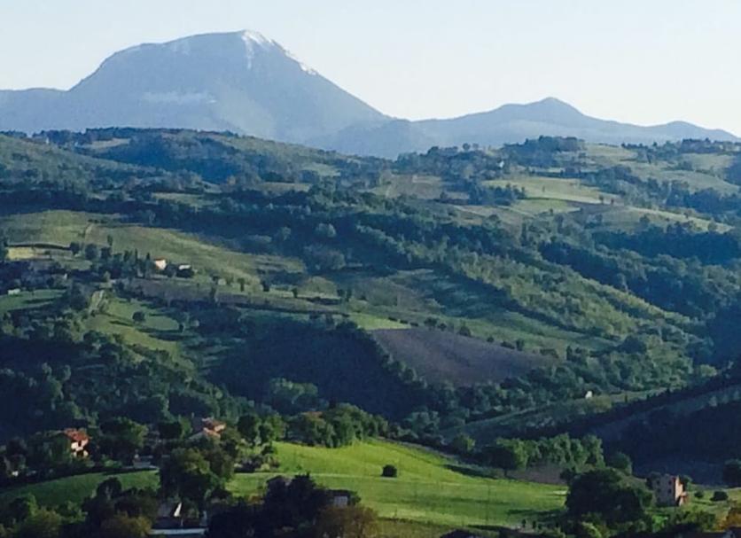 Outdoor view Photo