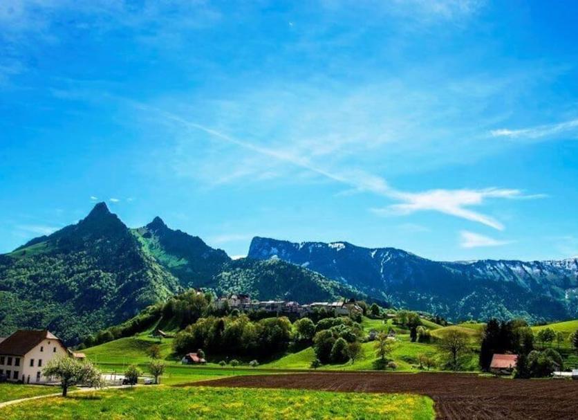 Outdoor view Photo