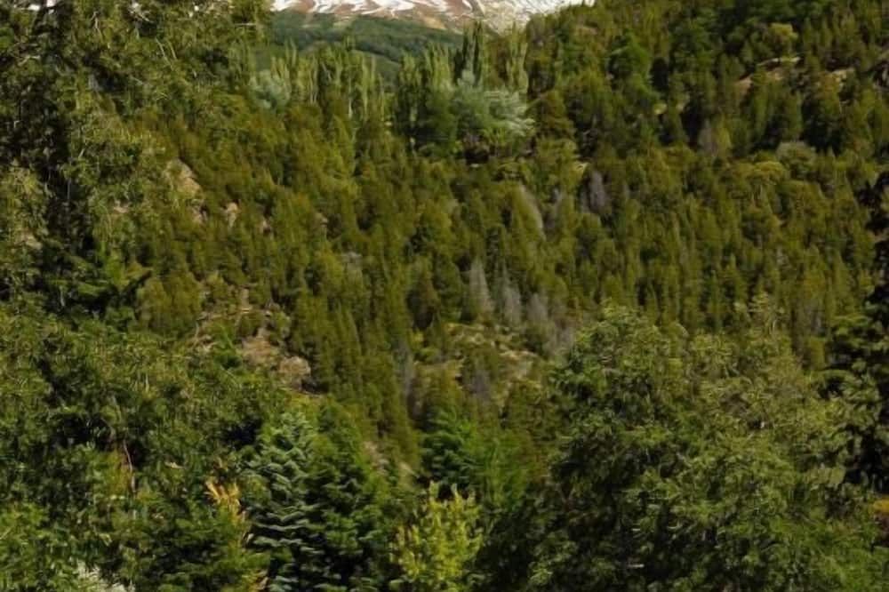 Outdoor view