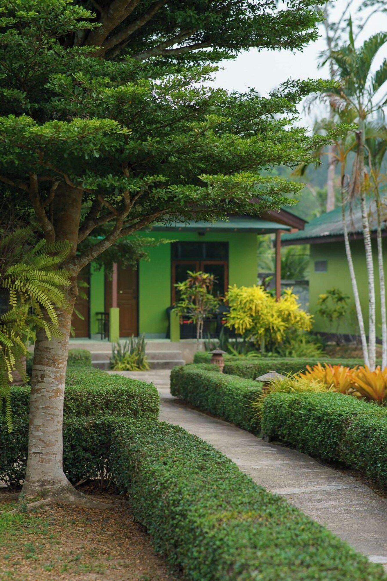 Outdoor view