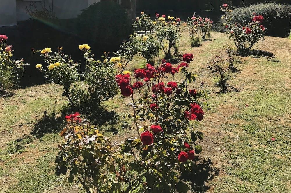 Outdoor view
