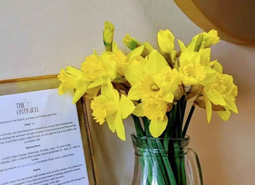 Room amenity Photo