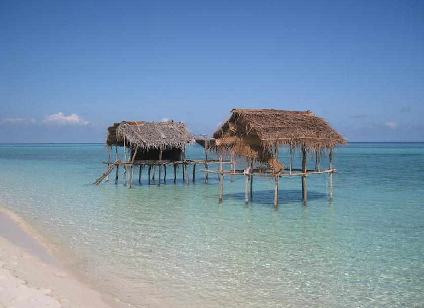 Other Photo