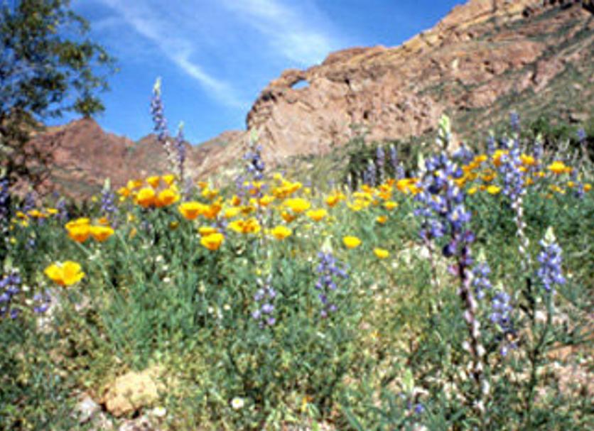 Outdoor view Photo