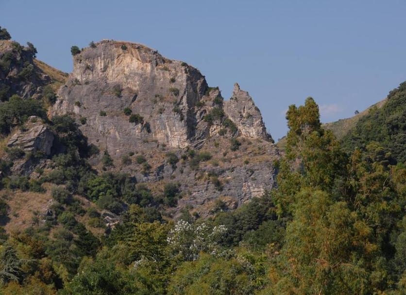 Other Photo