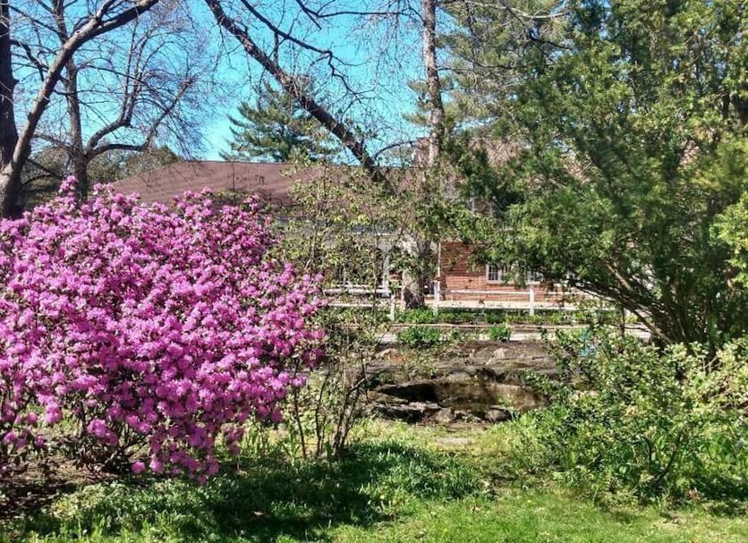 Outdoor view Photo