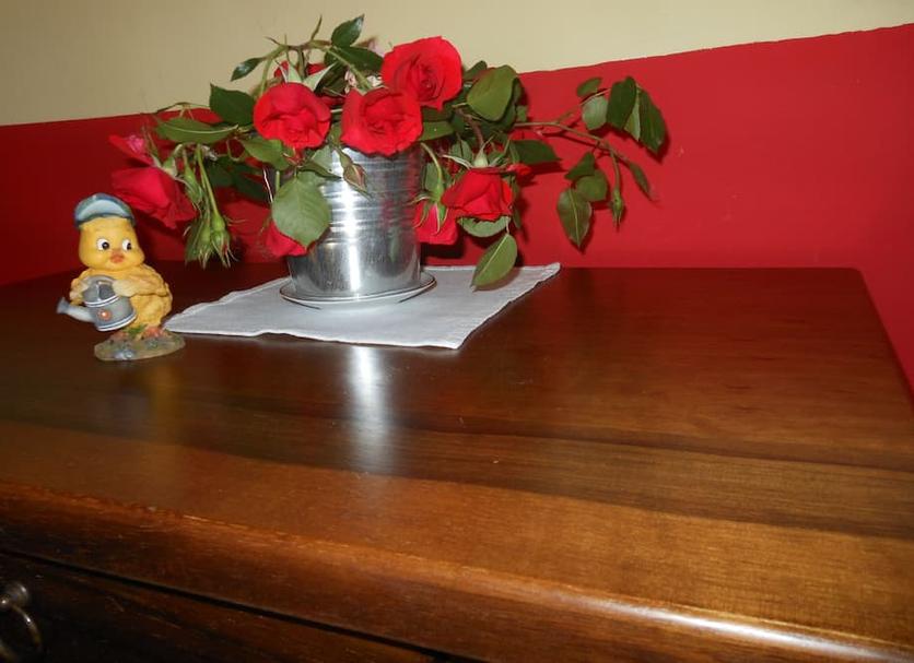 Room amenity Photo