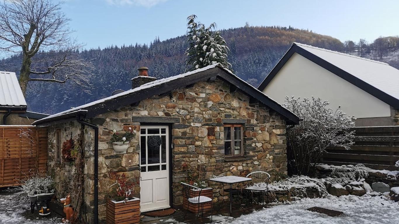 Dolweunydd Bed And Breakfast