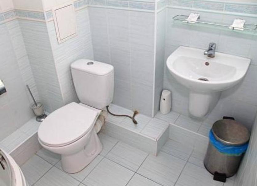 Bathroom Photo