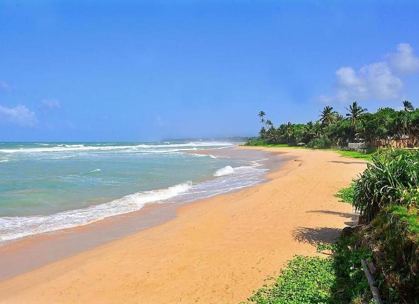 Beach Photo