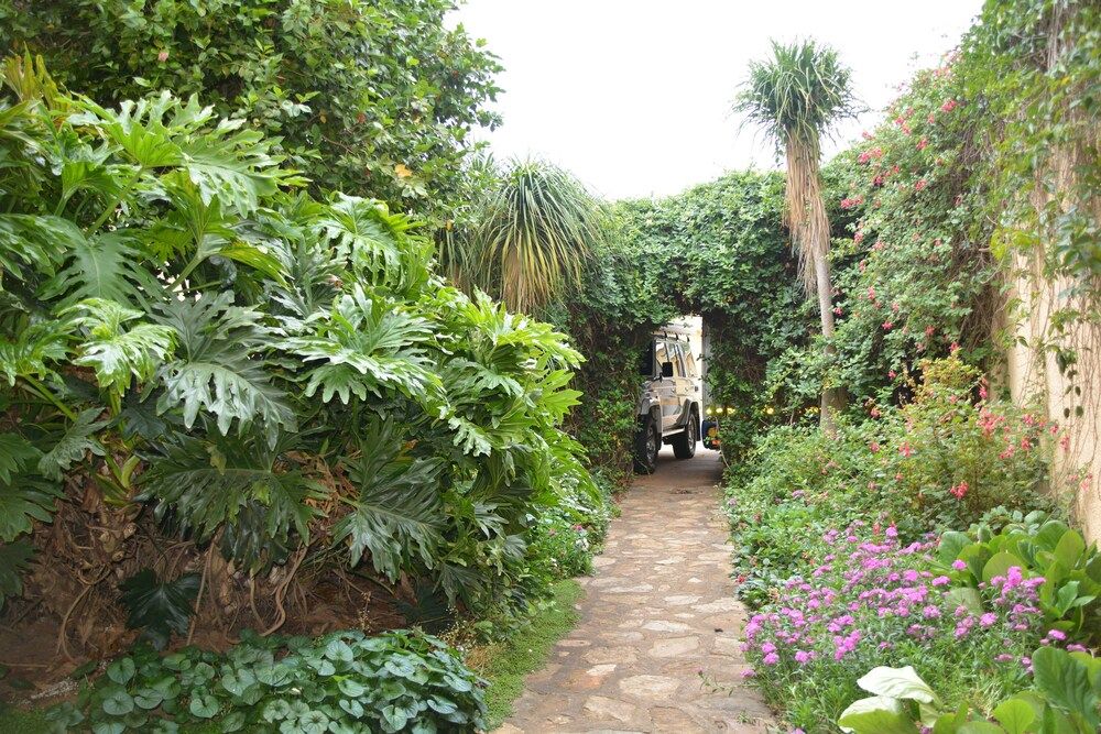 Outdoor view
