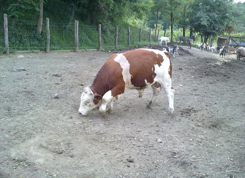 Other Photo