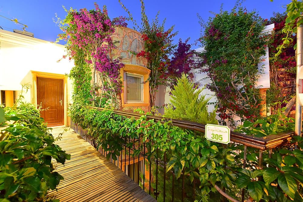 Outdoor view
