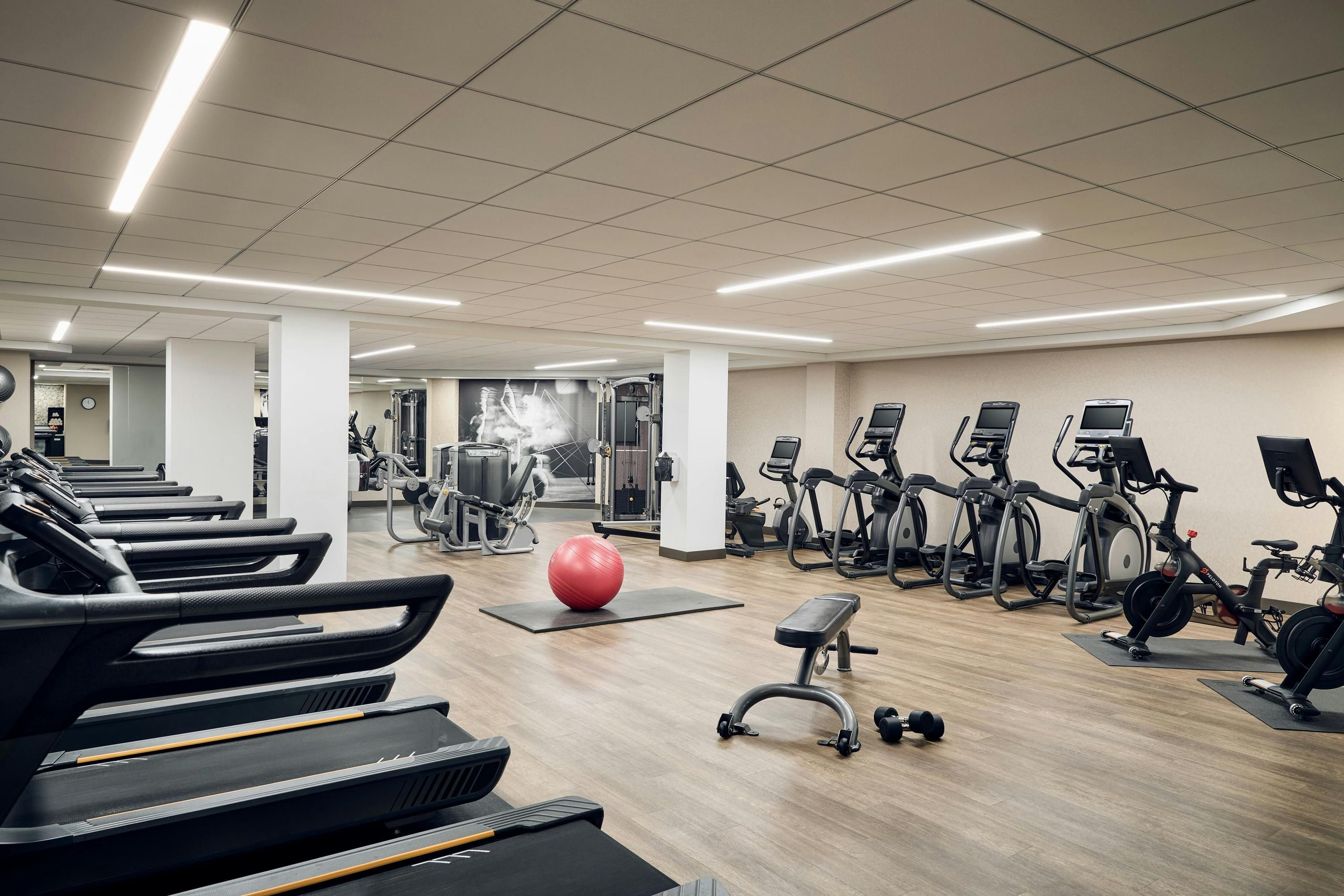 Gym