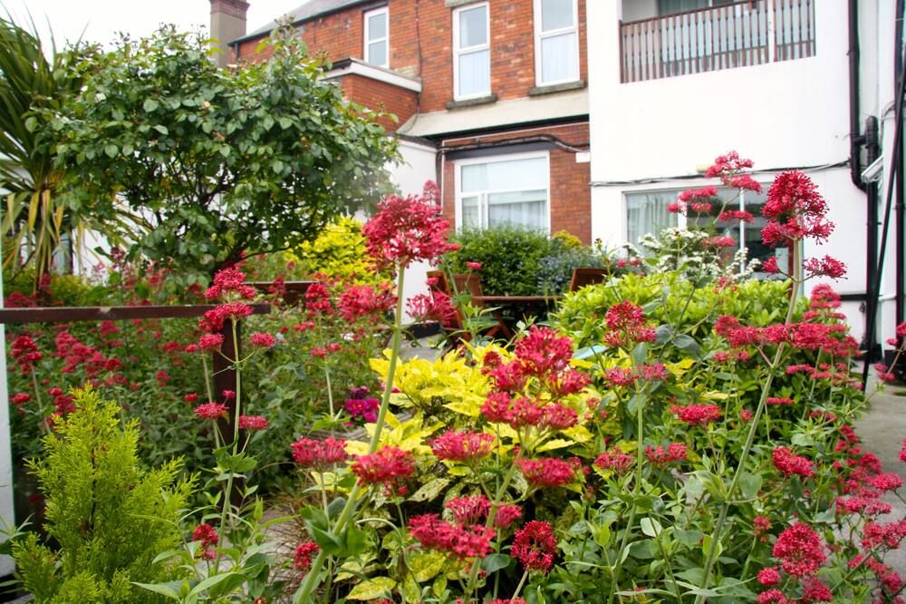 Outdoor view