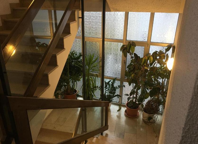 Stairs Photo