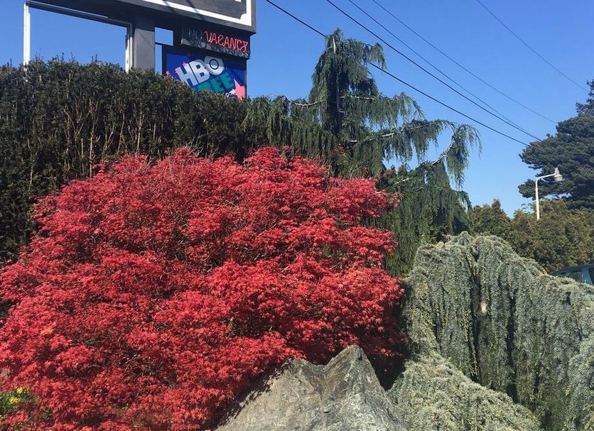 Outdoor view Photo