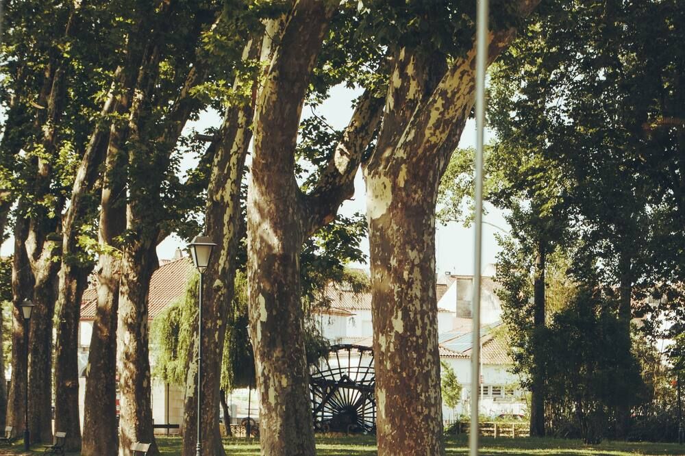 Outdoor view