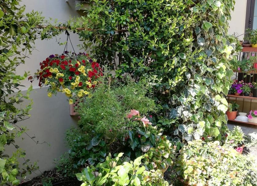 Outdoor view Photo